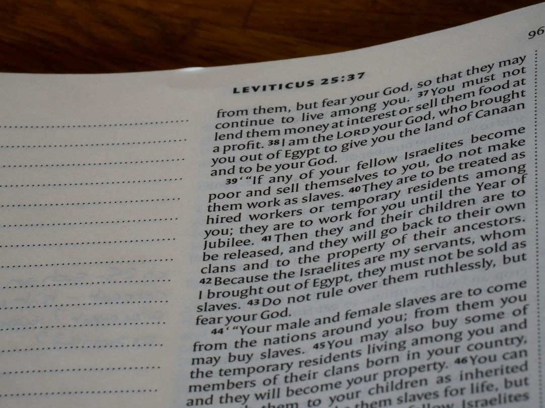 mystery novel pages